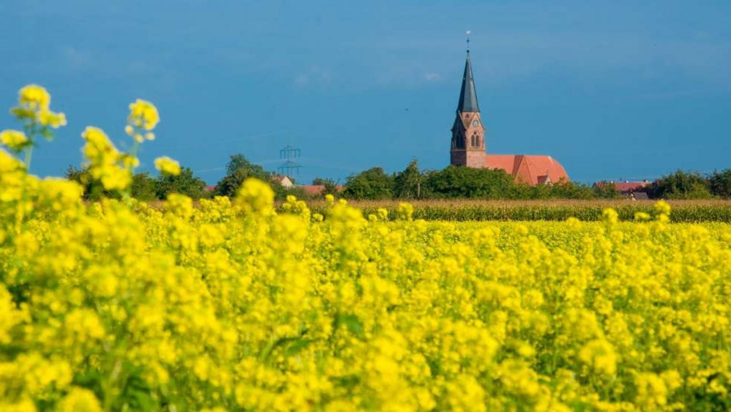 Blick auf Schwanau-Nonnenweier